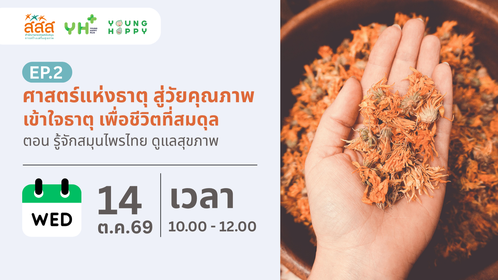 ศาสตร์แห่งธาตุ สู่วัยคุณภาพ : เข้าใจธาตุ เพื่อชีวิตที่สมดุล EP.2 ตอน รู้จักสมุนไพรไทย ดูแลสุขภาพ