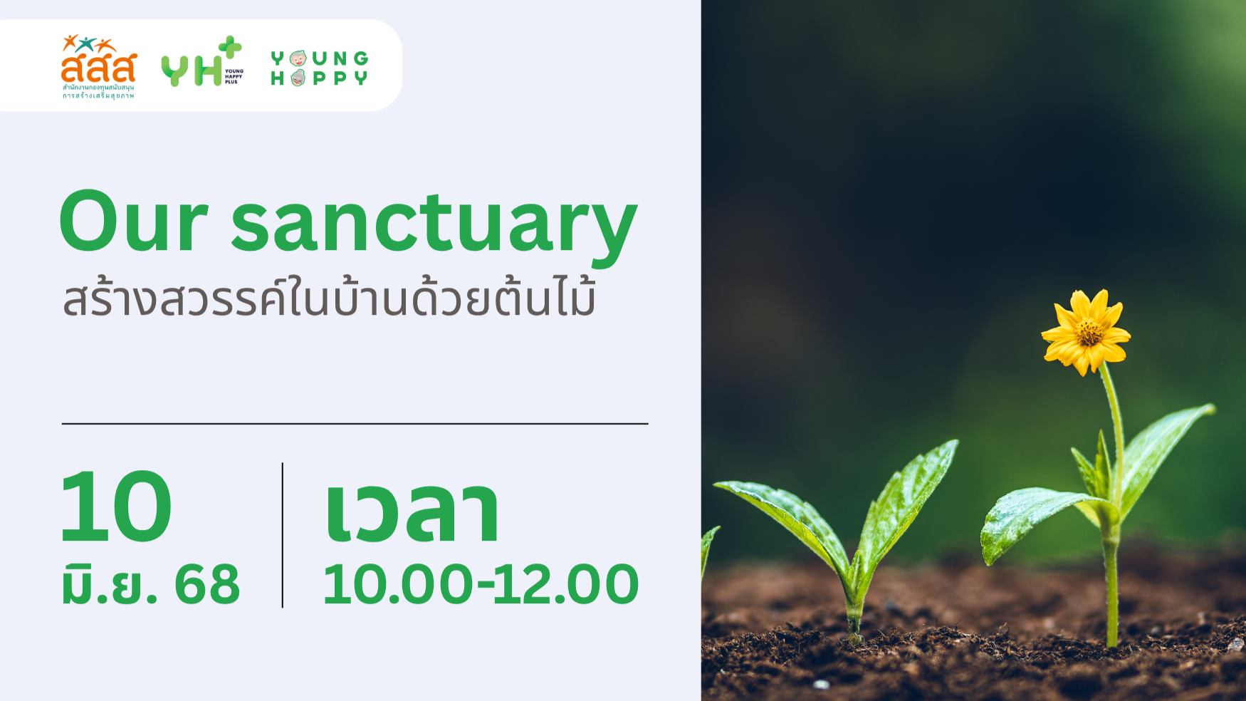 Our sanctuary: สร้างสวรรค์ในบ้านด้วยต้นไม้